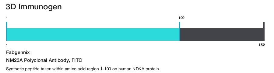 NM23A Polyclonal Antibody, FITC