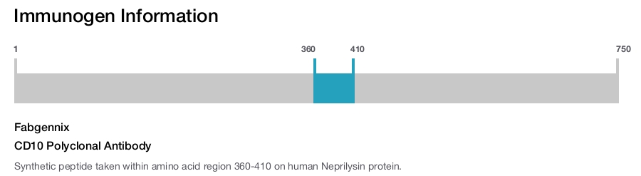 CD10 Polyclonal Antibody