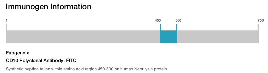 CD10 Polyclonal Antibody, FITC