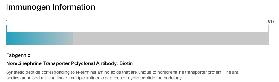 Norepinephrine Transporter Polyclonal Antibody, Biotin