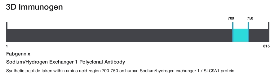 Sodium/Hydrogen Exchanger 1 Polyclonal Antibody