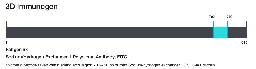 Sodium/Hydrogen Exchanger 1 Polyclonal Antibody, FITC