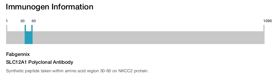 SLC12A1 Polyclonal Antibody