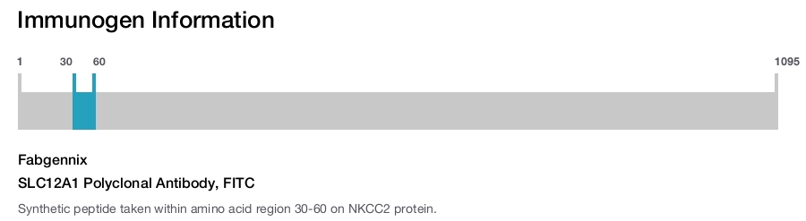 SLC12A1 Polyclonal Antibody, FITC