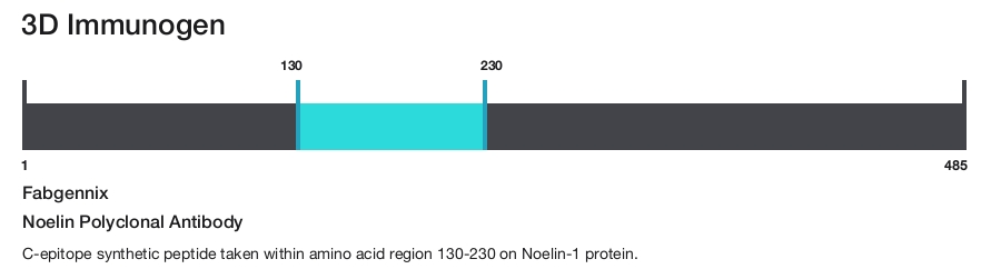 Noelin Polyclonal Antibody