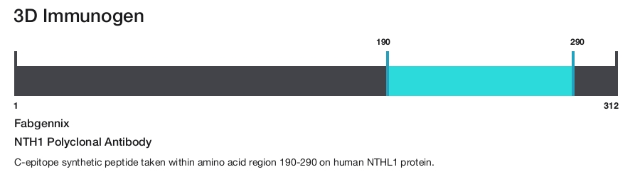 NTH1 Polyclonal Antibody