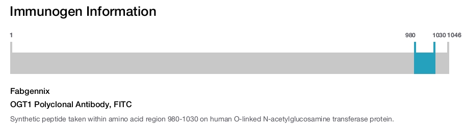 OGT1 Polyclonal Antibody, FITC