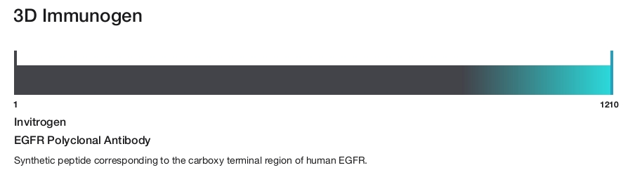 EGFR Polyclonal Antibody