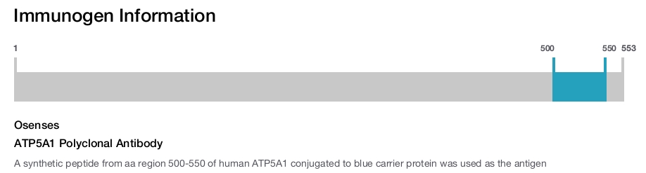 ATP5A1 Polyclonal Antibody