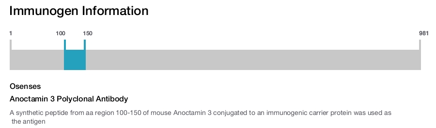 Anoctamin 3 Polyclonal Antibody
