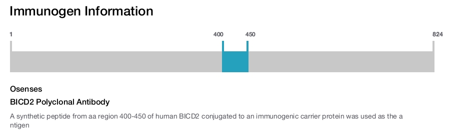 BICD2 Polyclonal Antibody