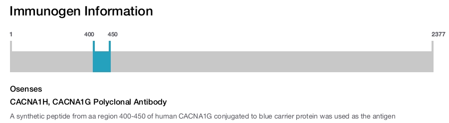 CACNA1H, CACNA1G Polyclonal Antibody