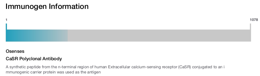 CaSR Polyclonal Antibody