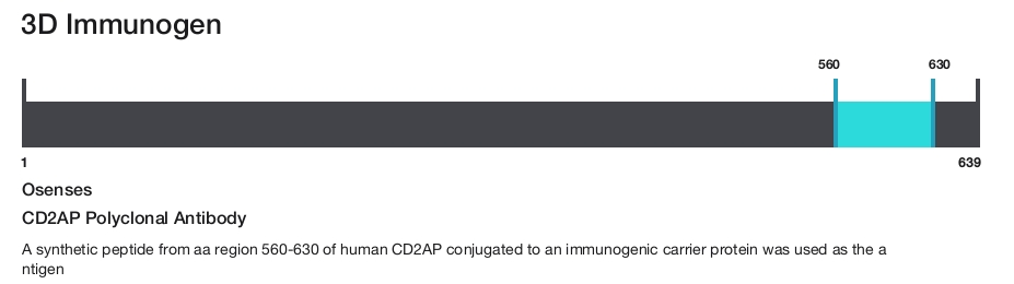 CD2AP Polyclonal Antibody