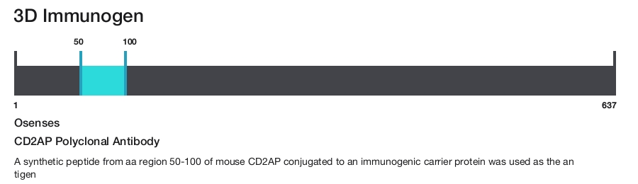 CD2AP Polyclonal Antibody