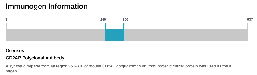 CD2AP Polyclonal Antibody