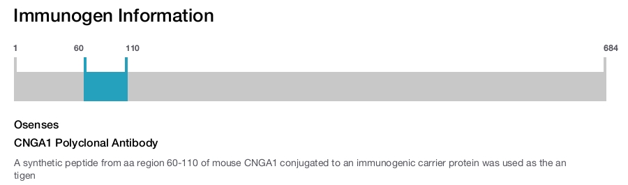 CNGA1 Polyclonal Antibody