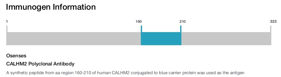 CALHM2 Polyclonal Antibody
