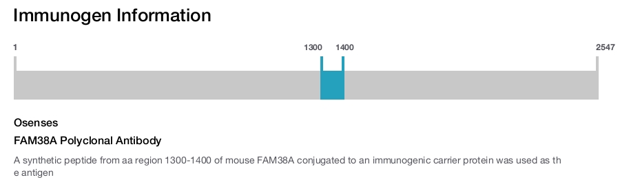 FAM38A Polyclonal Antibody