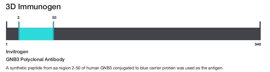 GNB3 Polyclonal Antibody