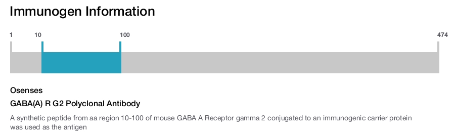 GABA(A) R G2 Polyclonal Antibody