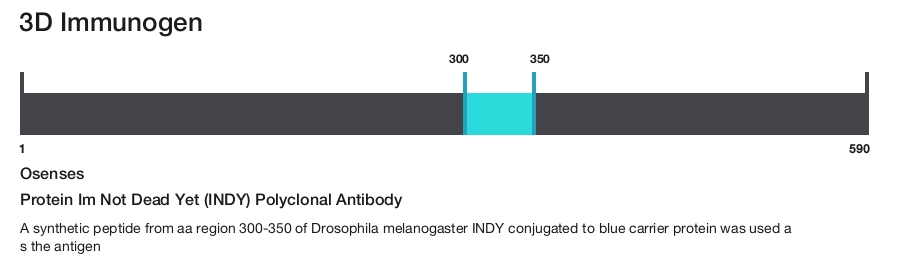 Protein Im Not Dead Yet (INDY) Polyclonal Antibody