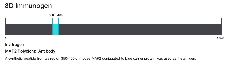 MAP2 Polyclonal Antibody