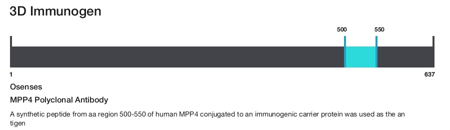 MPP4 Polyclonal Antibody