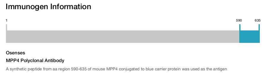 MPP4 Polyclonal Antibody