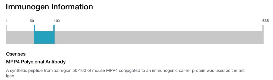 MPP4 Polyclonal Antibody