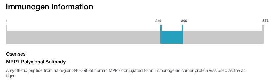 MPP7 Polyclonal Antibody