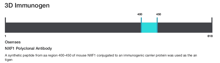 NXF1 Polyclonal Antibody