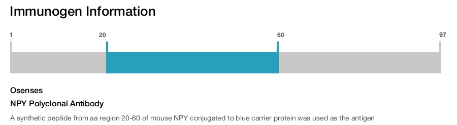 NPY Polyclonal Antibody