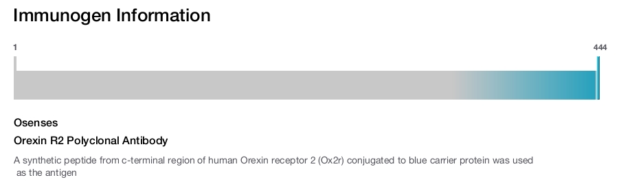 Orexin R2 Polyclonal Antibody