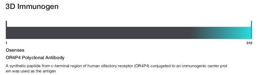 OR4P4 Polyclonal Antibody
