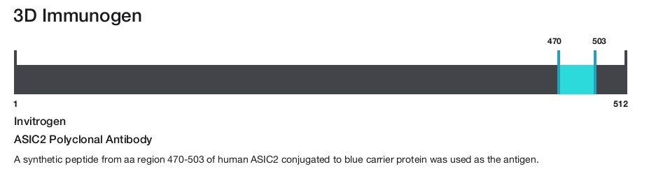 ASIC2 Polyclonal Antibody