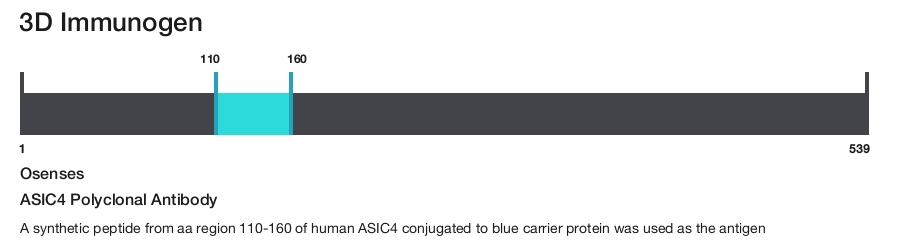 ASIC4 Polyclonal Antibody
