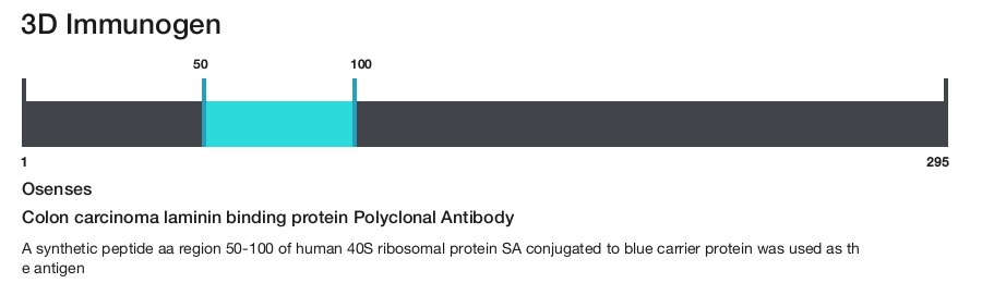 Colon carcinoma laminin binding protein Polyclonal Antibody