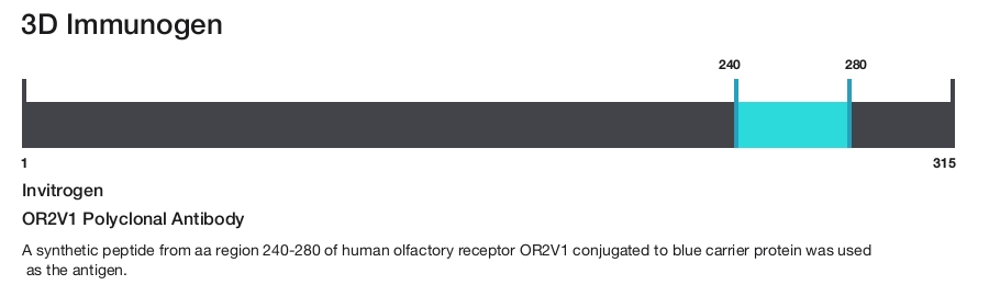 OR2V1 Polyclonal Antibody