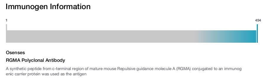 RGMA Polyclonal Antibody