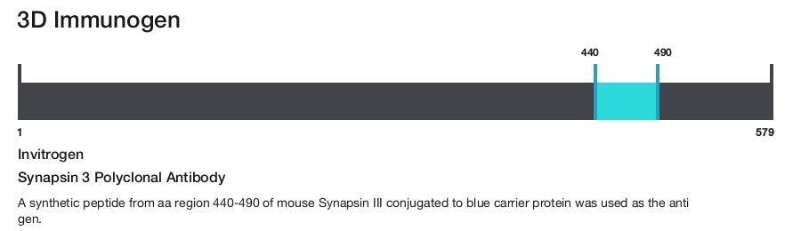 Synapsin 3 Polyclonal Antibody