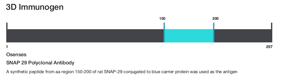 SNAP 29 Polyclonal Antibody