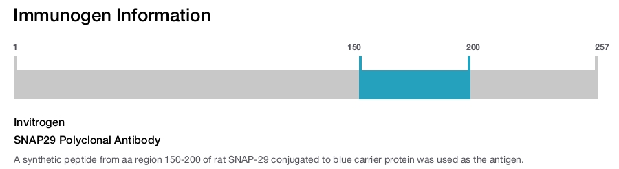 SNAP29 Polyclonal Antibody