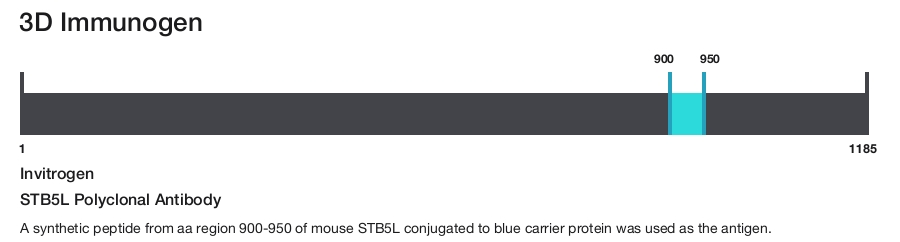 STB5L Polyclonal Antibody