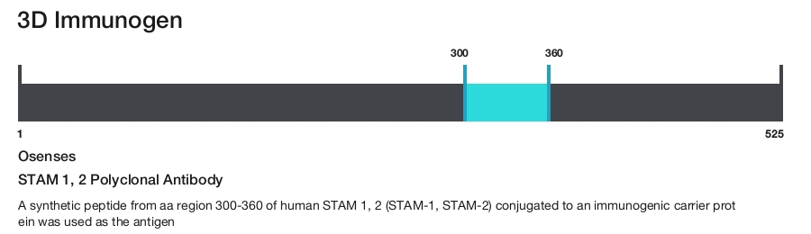 STAM 1, 2 Polyclonal Antibody