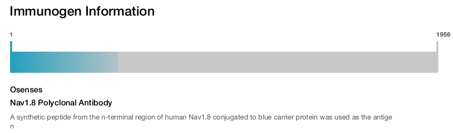 Nav1.8 Polyclonal Antibody
