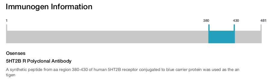 5HT2B R Polyclonal Antibody