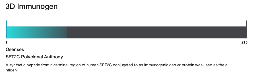 SFT2C Polyclonal Antibody