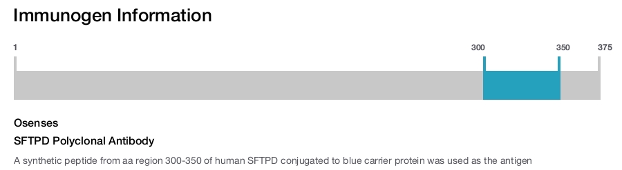 SFTPD Polyclonal Antibody