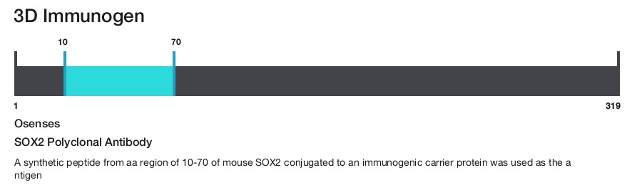 SOX2 Polyclonal Antibody